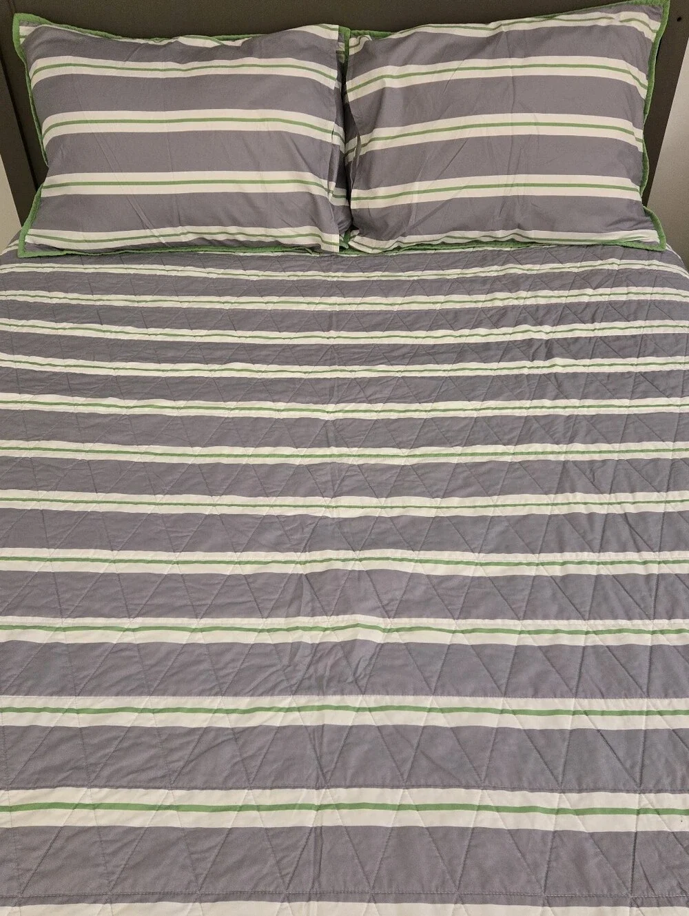 Reversable Dinosaur Quilt Comforter Set, Size Full